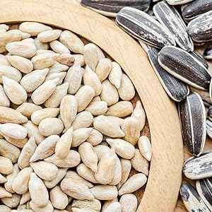 Raw Sunflower Seed Kernels | Non-GMO, Gluten-Free, 1 lb Bag