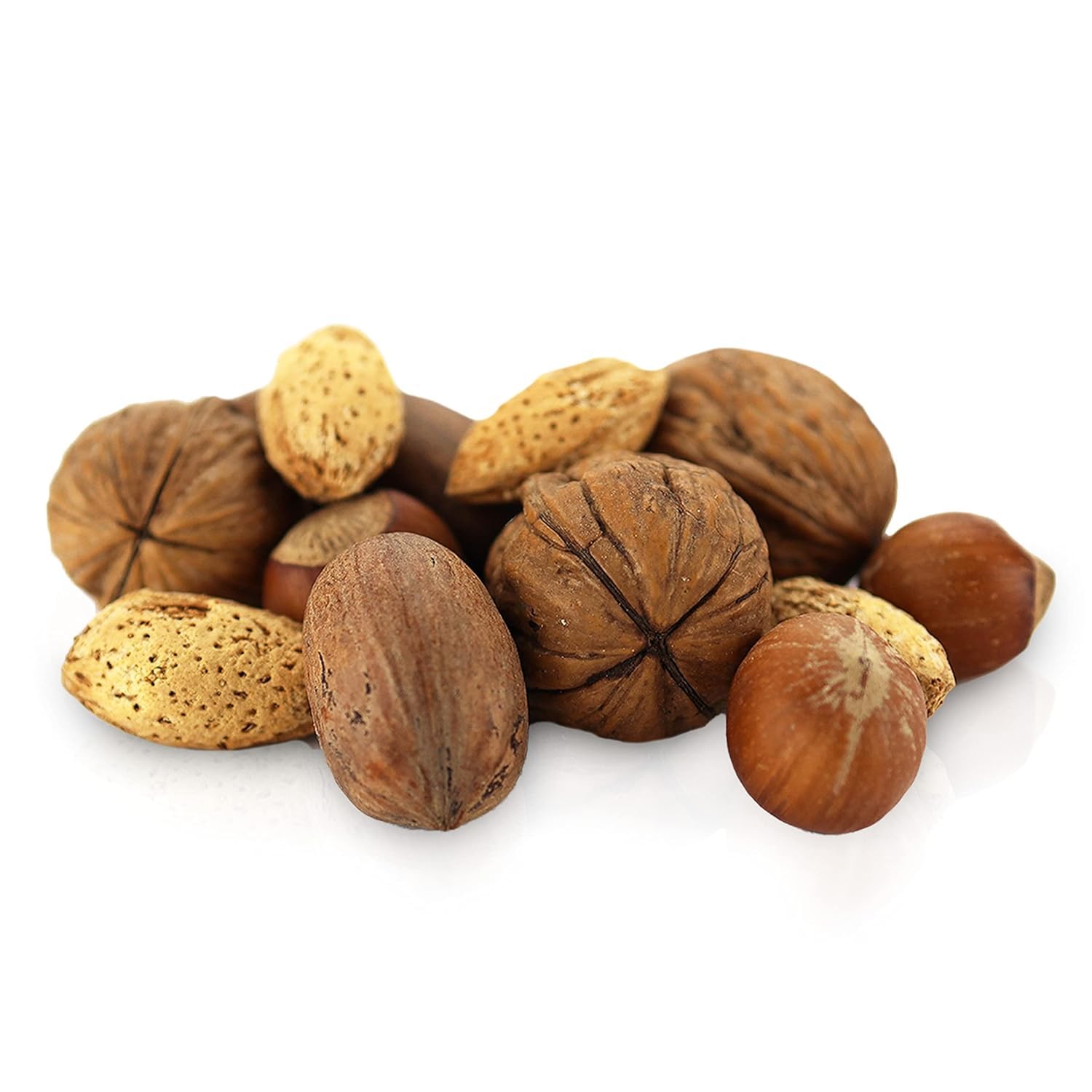 10 Lbs Premium Kosher Mixed Nuts in Shell Box - No Brazil Nut