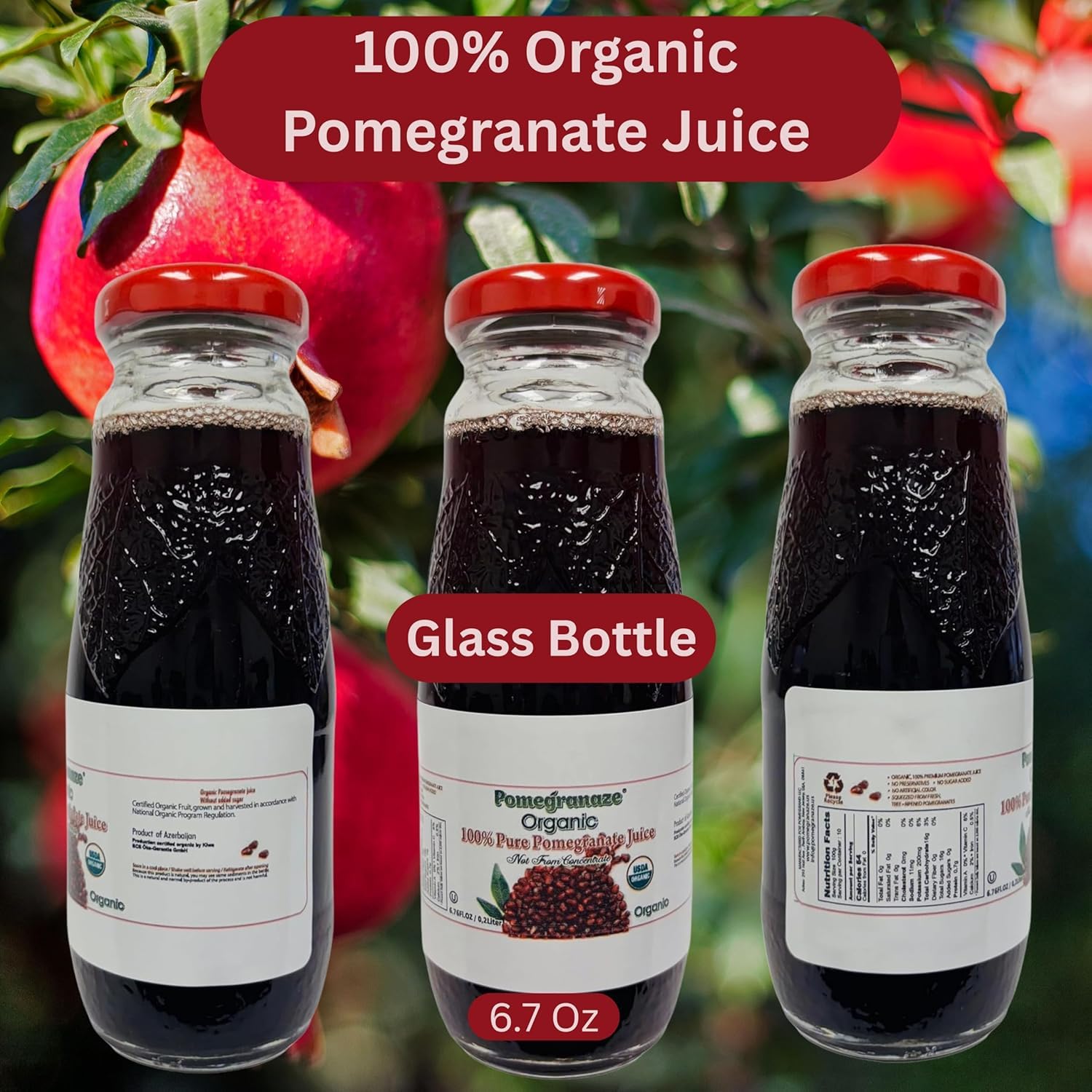 Pomegranaze Organic Pomegranate Juice 6.7 fl oz Glass Bottle 24 Pack - 100% Pure Juice, No Sugar Added, No Artificial Colors or Preservatives, Gluten Free, Kosher, Convenient Single Serve Bottles