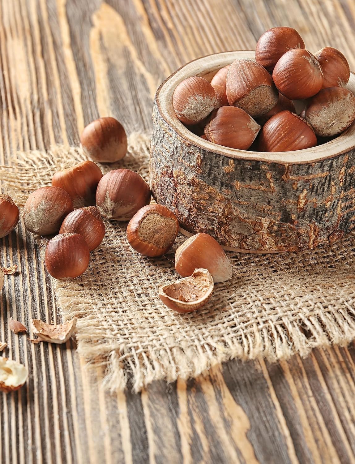 10 Lbs Oregon Large Hazelnuts In Shell - Kosher Non-GMO