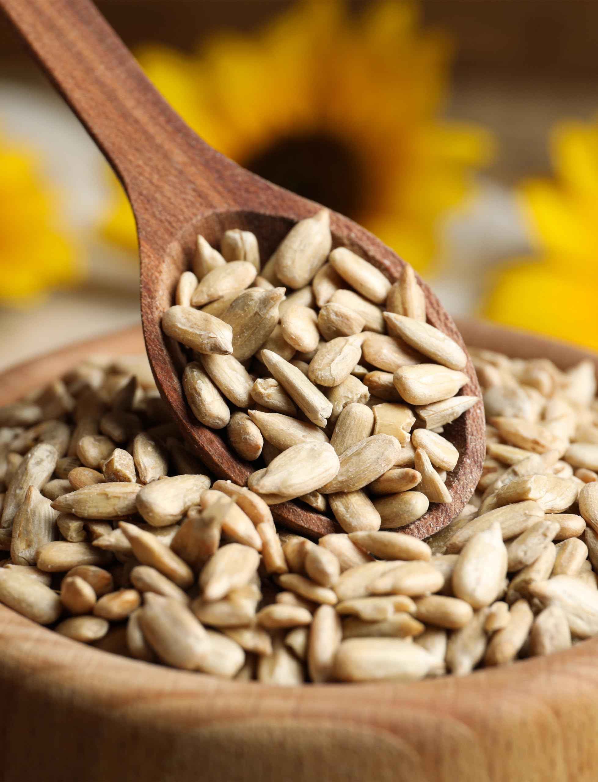 Raw Sunflower Seed Kernels | Non-GMO, Gluten-Free, 1 lb Bag