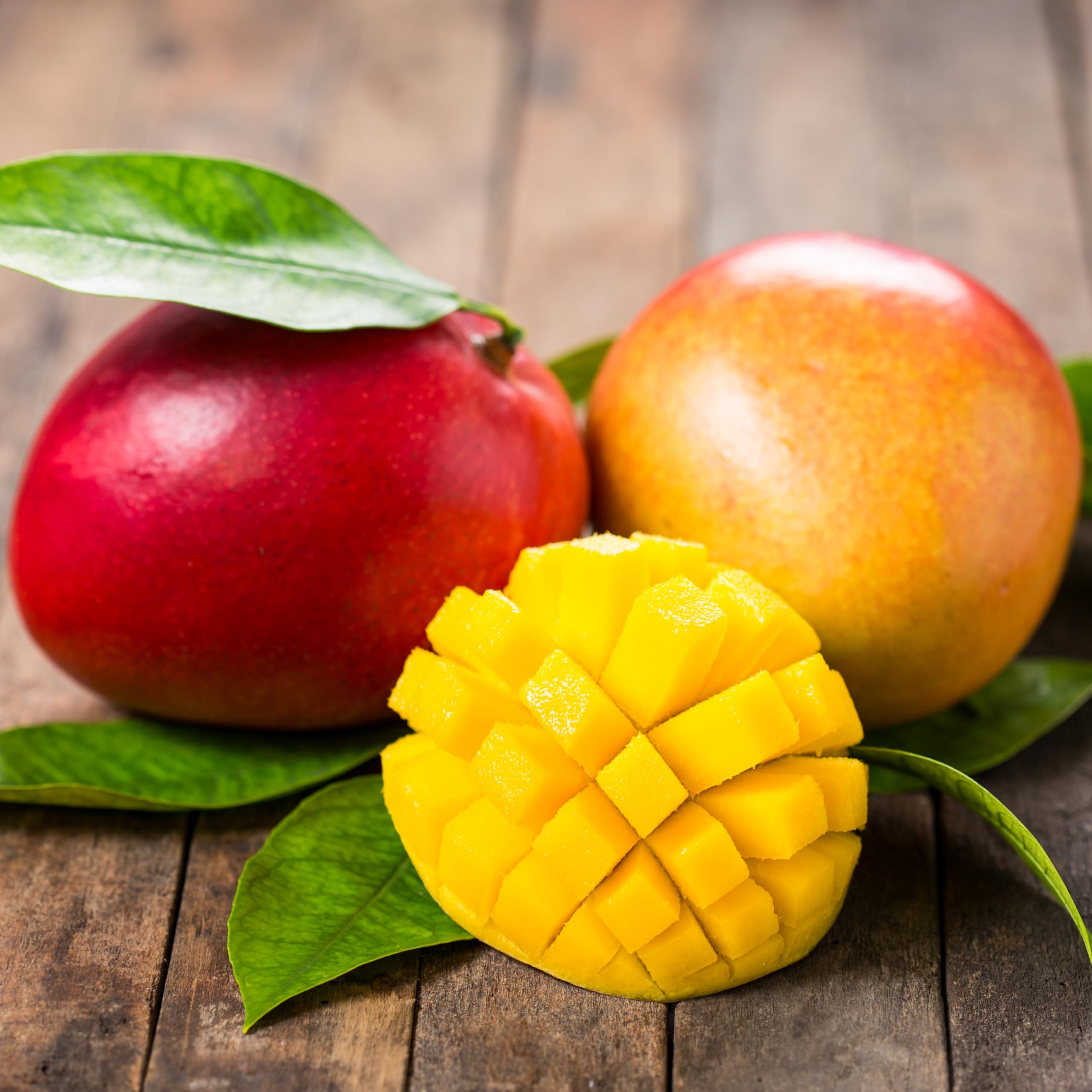 Dried Mango Slices - 33 Lbs Soft & Juicy, No Sugar Added