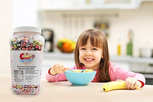 Sarah's Candy Factory Assorted Dehydrated Marshmallow Bits in Big Jar (1-2.5 lbs)