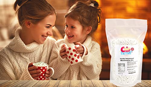 Sarah's Candy Factory Vanilla Mini Dehydrated Marshmallow Bits - 8 Oz