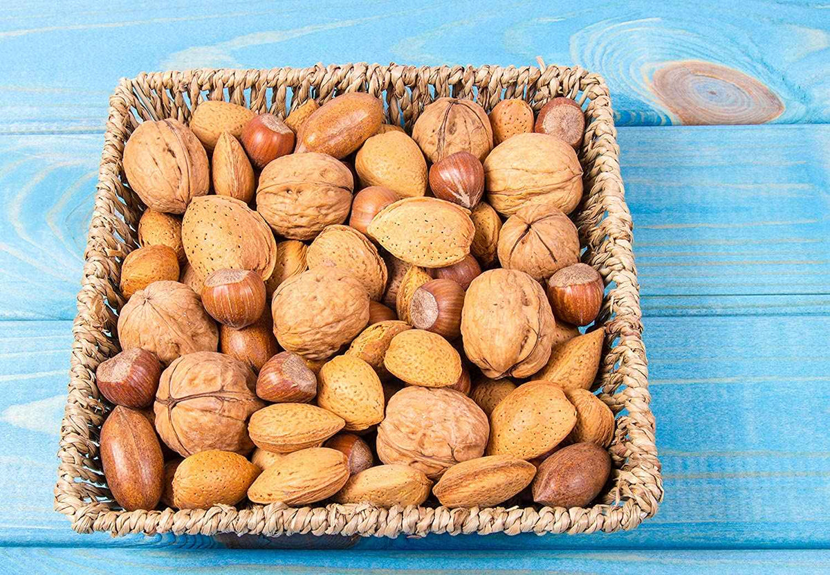 Mixed Nuts in Shell - Anna and Sarah