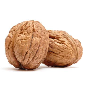 Premium Quality Walnuts in Shell - Anna and Sarah